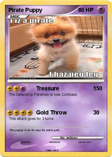 Pokemon Pirate Puppy