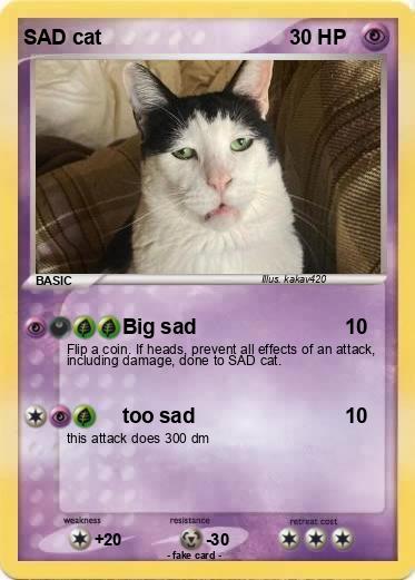 Pokemon SAD cat