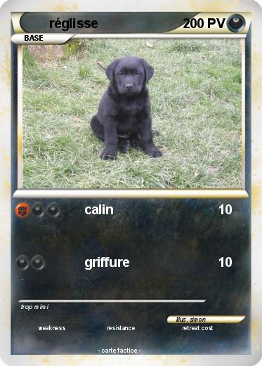 Pokemon réglisse