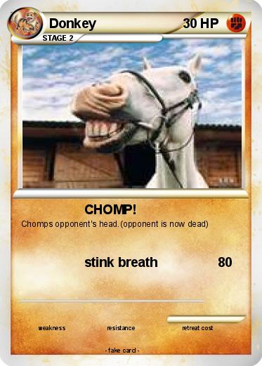 Pokemon Donkey