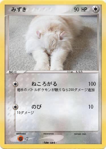 Pokemon 　みずき