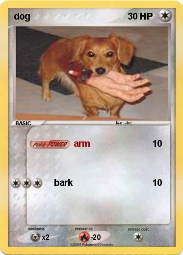 Pokemon dog