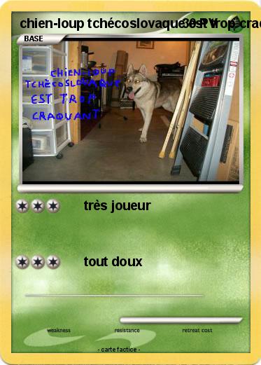 Pokemon chien-loup tchécoslovaque est trop craquant