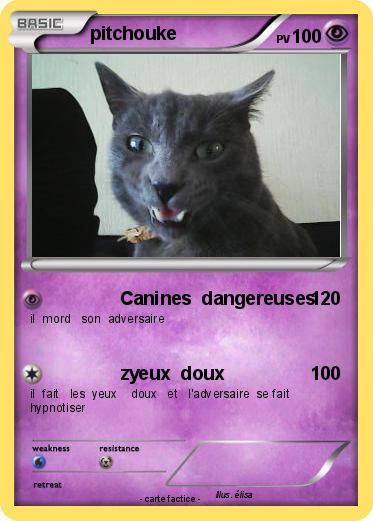 Pokemon pitchouke