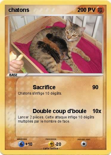 Pokemon chatons