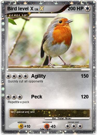 Pokemon Bird level X