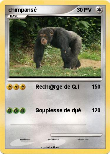 Pokemon chimpansé