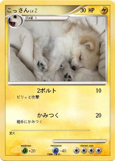 Pokemon こっさん