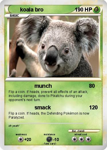 Pokemon koala bro
