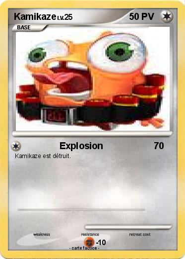 Pokemon Kamikaze