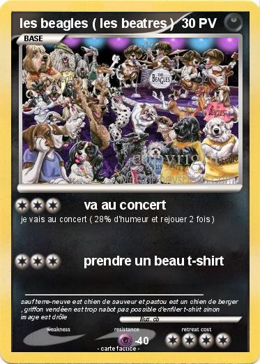 Pokemon les beagles ( les beatres )
