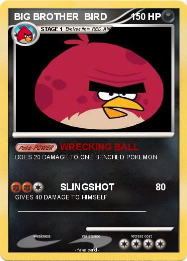 Pokemon BIG BROTHER  BIRD