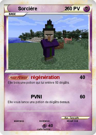 Pokemon Sorcière                     2