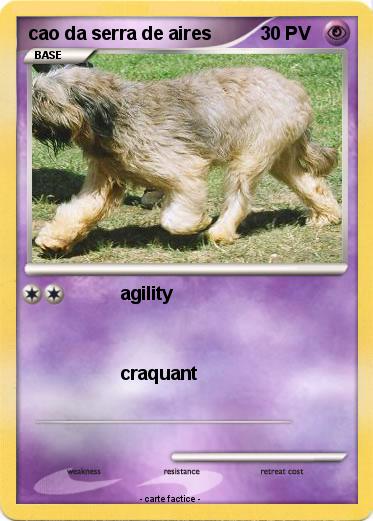 Pokemon cao da serra de aires