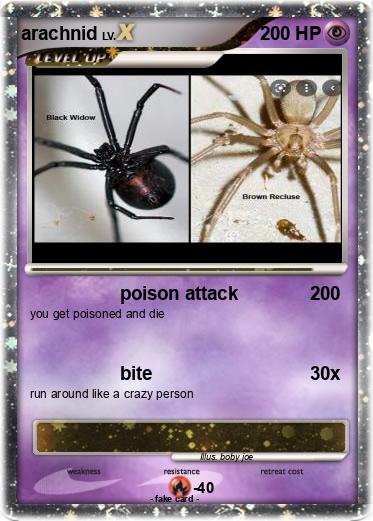 Pokemon arachnid