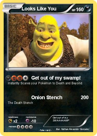 Pokemon Looks Like You