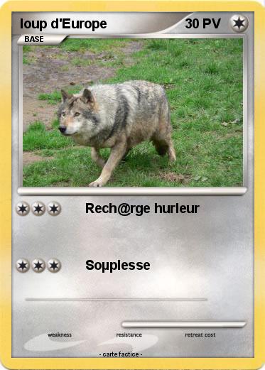 Pokemon loup d'Europe