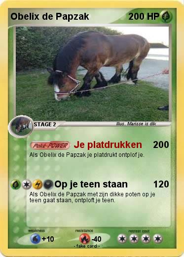 Pokemon Obelix de Papzak