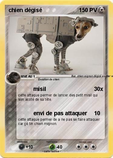 Pokemon chien dégisé