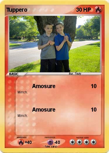 Pokemon Tuppero