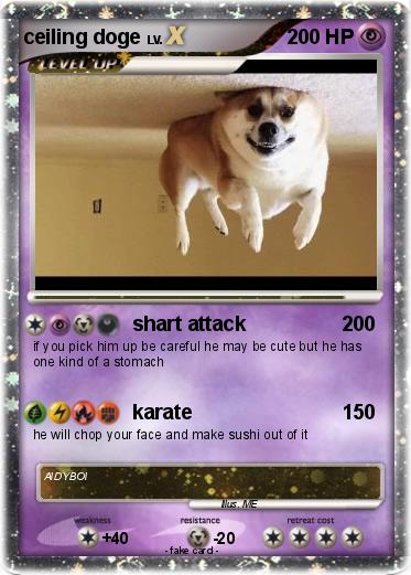 Pokemon ceiling doge