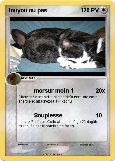 Pokemon touyou ou pas