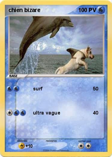Pokemon chien bizare