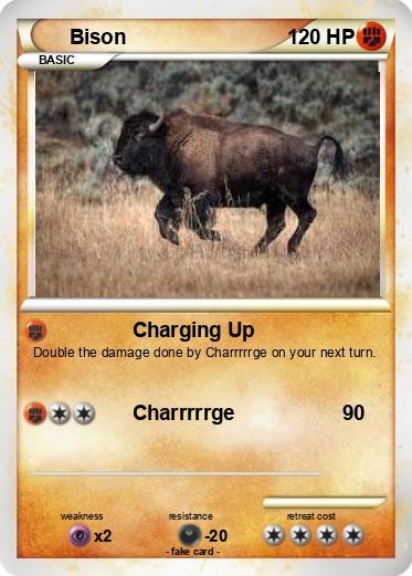 Pokemon Bison