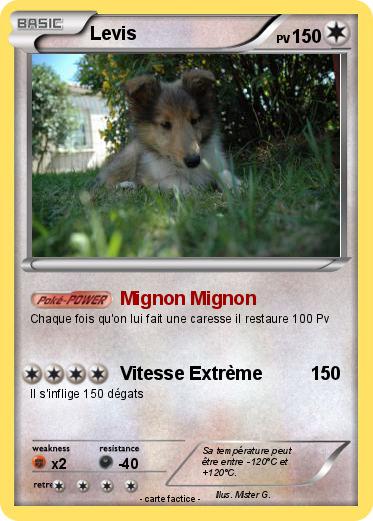 Pokemon Levis