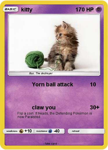 Pokemon kitty