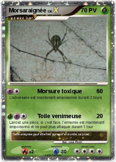 Pokemon Morsaraignée
