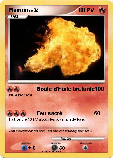 Pokemon Flamon