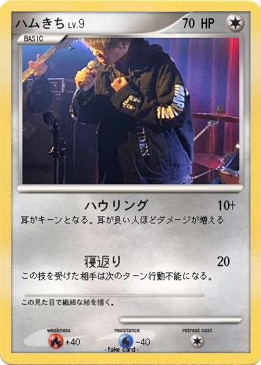 Pokemon ハムきち