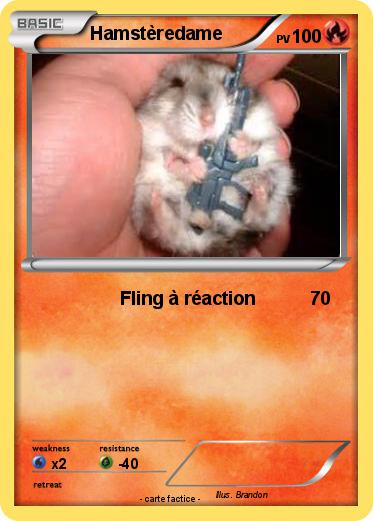 Pokemon Hamstèredame