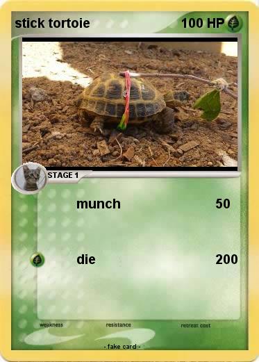 Pokemon stick tortoie