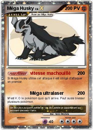 Pokemon Méga Husky
