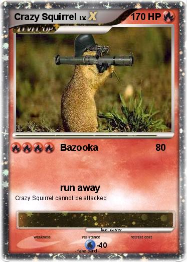 Pokemon Crazy Squirrel