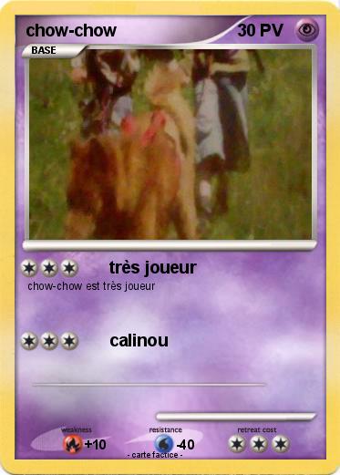 Pokemon chow-chow