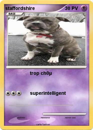 Pokemon staffordshire