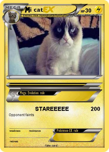 Pokemon i cat