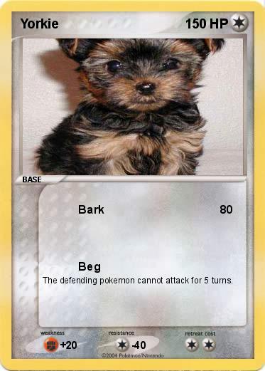 Pokemon Yorkie