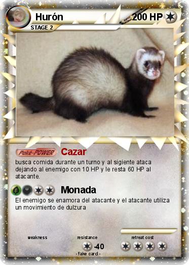 Pokemon Hurón