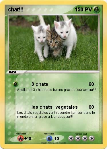 Pokemon chat!!!