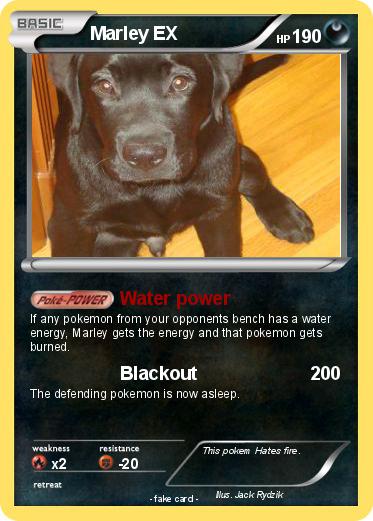 Pokemon Marley EX