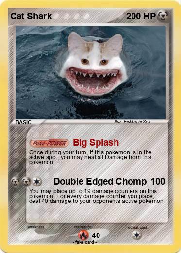 Pokemon Cat Shark