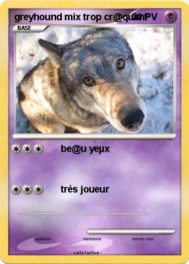 Pokemon greyhound mix trop cr@quant