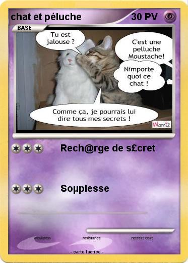 Pokemon chat et péluche