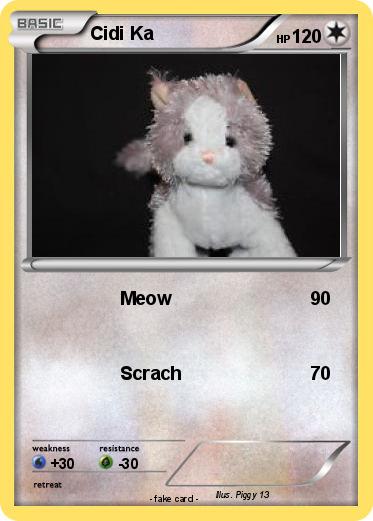 Pokemon Cidi Ka