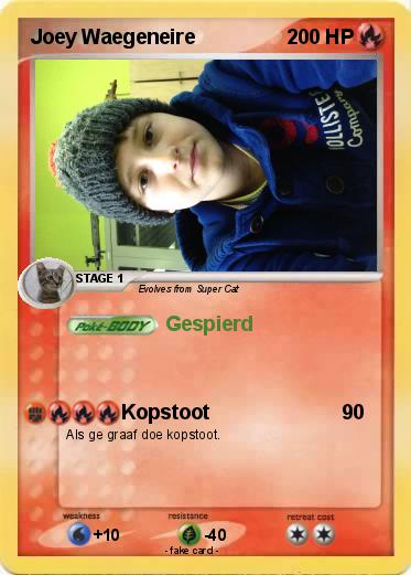 Pokemon Joey Waegeneire