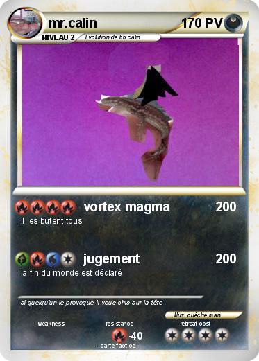 Pokemon mr.calin